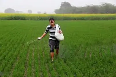 fertilizer3